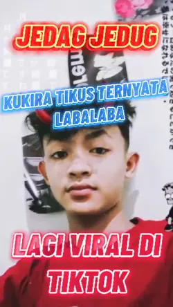 TIKUS LABA LABA. 