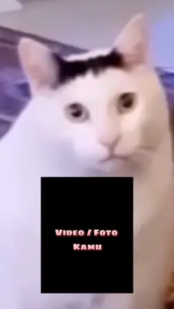 VIDEO X FOTO KAMU