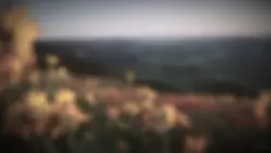 blur version