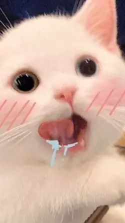 เอาไปใช่เลอออ<3