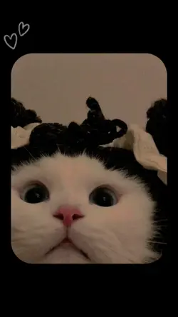 Cute