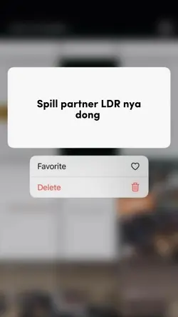 Spill partner ldr ny