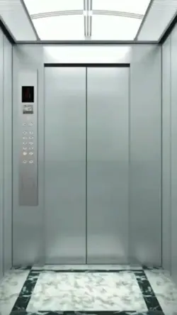 COLLIDE