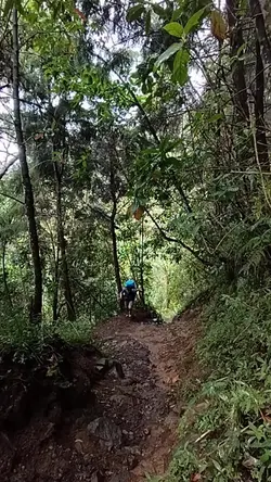 TRAIL 