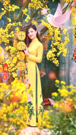 Nhạc Xuân hay ảnh