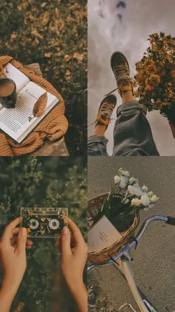 filter analog 