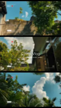 Vlog past live