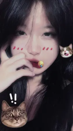 1 ảnh +  filter cat