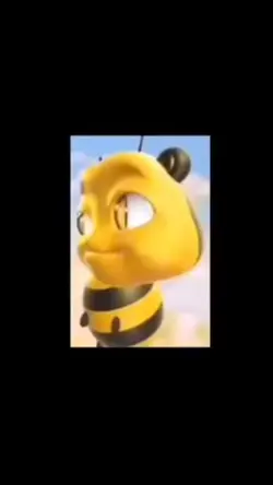 Share video 