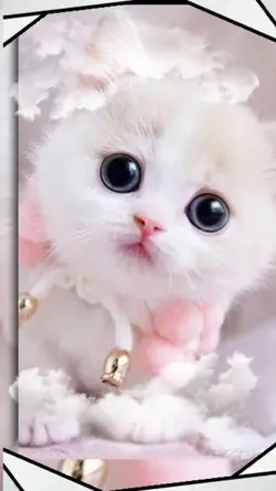 @ihhikarishop 3D