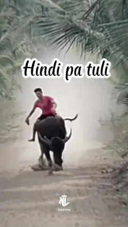 Hindi pa tuli