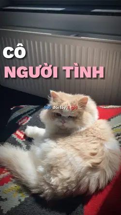 CÔ NGƯỜI TÌNH