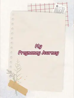 pregnancy journey