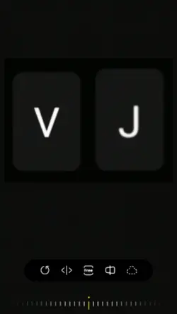 inisial V-J