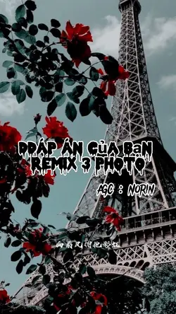 Đáp án của bạn 