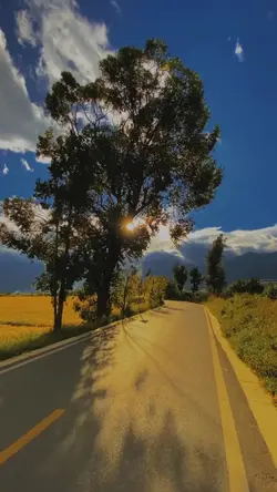Slowmo Indian 