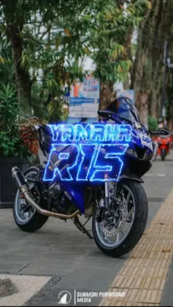 r15 v3