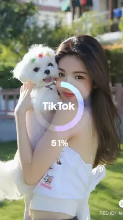 anime with dog