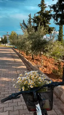 edit video