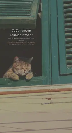 Lagu Thailand Viral_