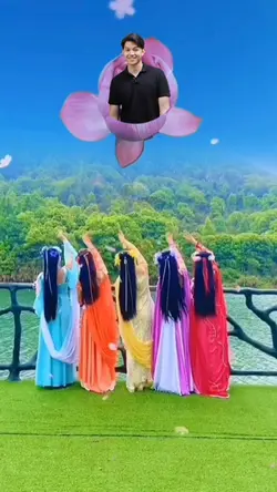 Bidadari Videnist