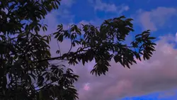 cinematic aesthetic