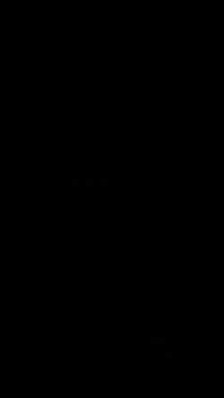 lirik neon