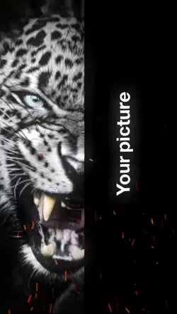 TIGER x YOU