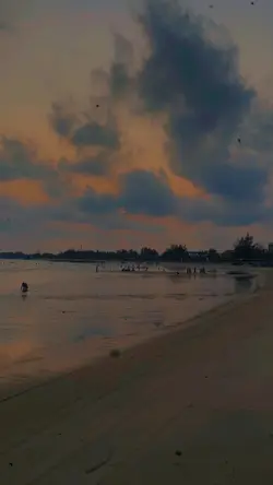 4video 