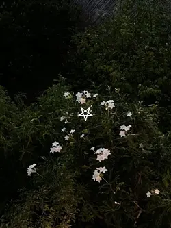 8รูปซ้ำ🌟