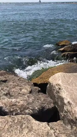 1 Video 5 Photo