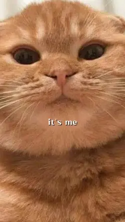 it's me