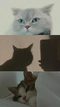 Lirik Estetik