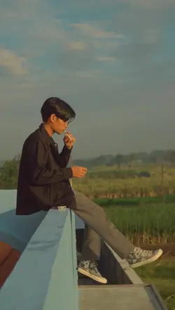 Trend Wes anderson