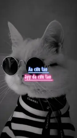 ây da cứu tao