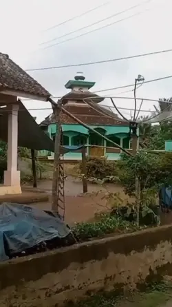 diberiraukan