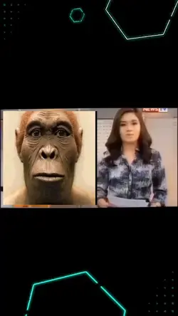 news tv