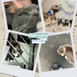 february recap/dump