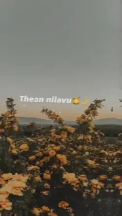 Thennilavu 
