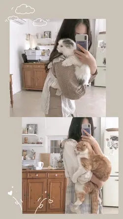 Mẫu 2 ảnh