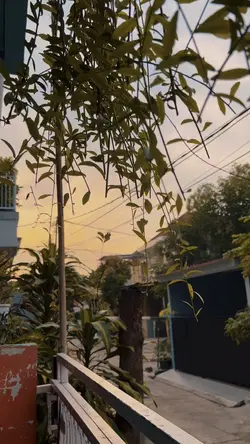 Senja depan rumah
