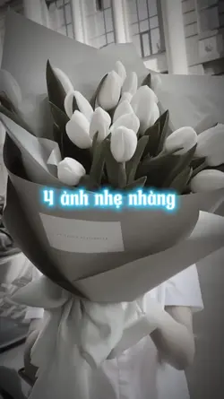 Mẫu 4 ảnh nhẹ nhàng