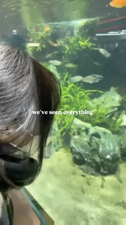astronomy-conangray