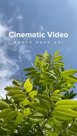 Cinematic Estetik