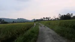 mafkan q yg dulu 