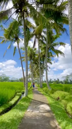 vlog pemandangan