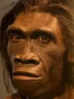 #MonkeyGlowUp