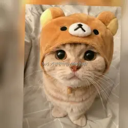 누가 기절할만큼 귀여우래?