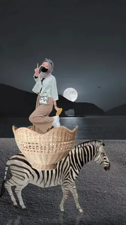 Naik zebra ⁶