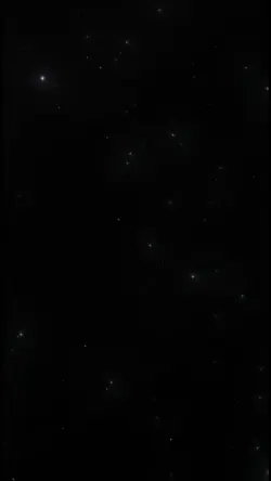 selamat tahun baru